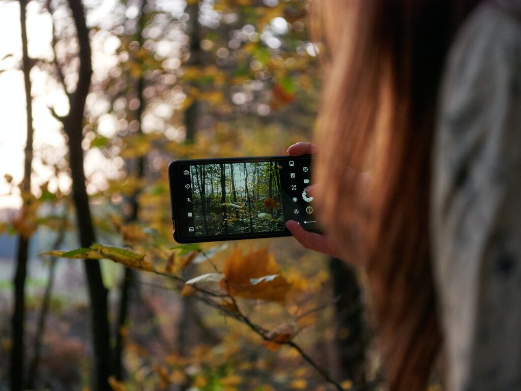 אישה מצלמת נוף של יער במצלמת הטלפון שלה
